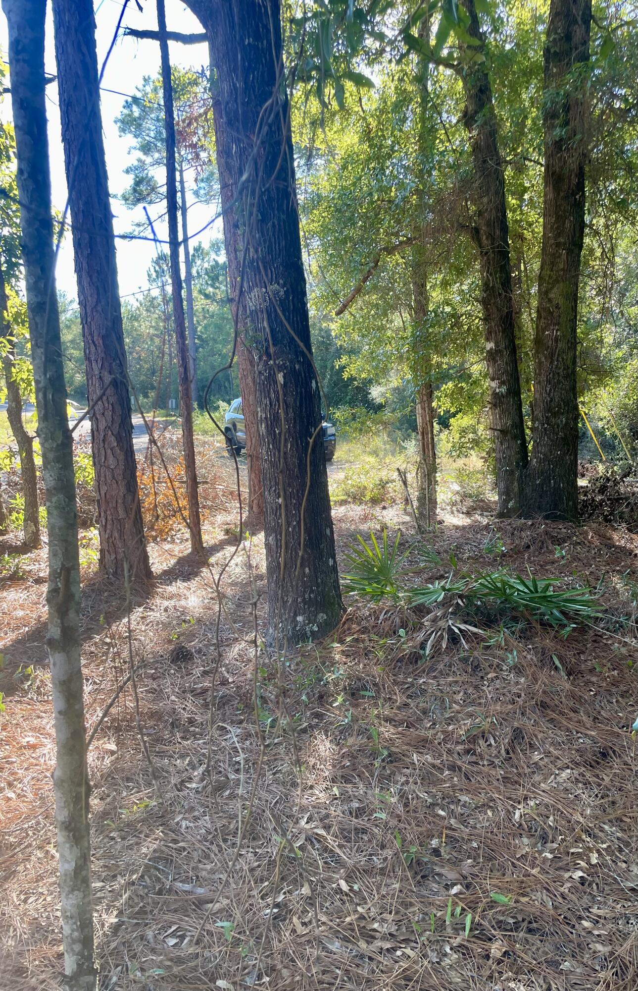 OAKWOOD HILLS UNIT 1 - Land