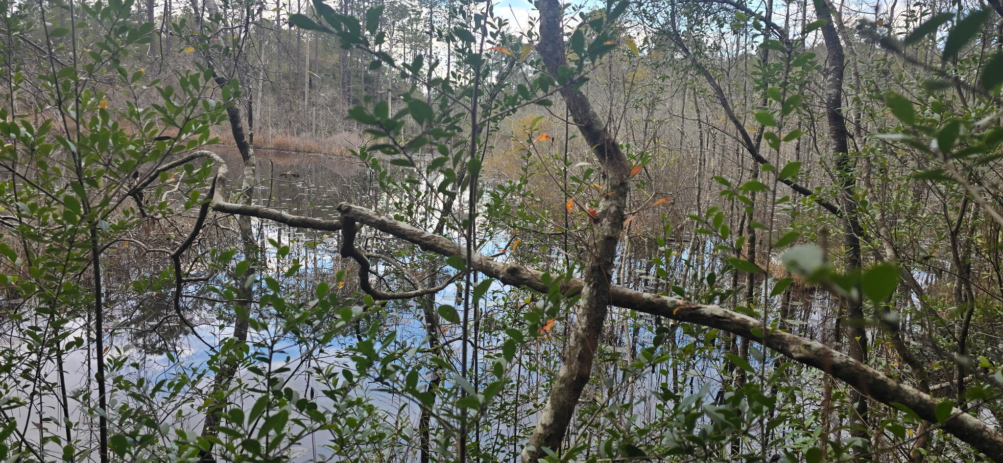 OAKWOOD HILLS UNIT 1 - Land