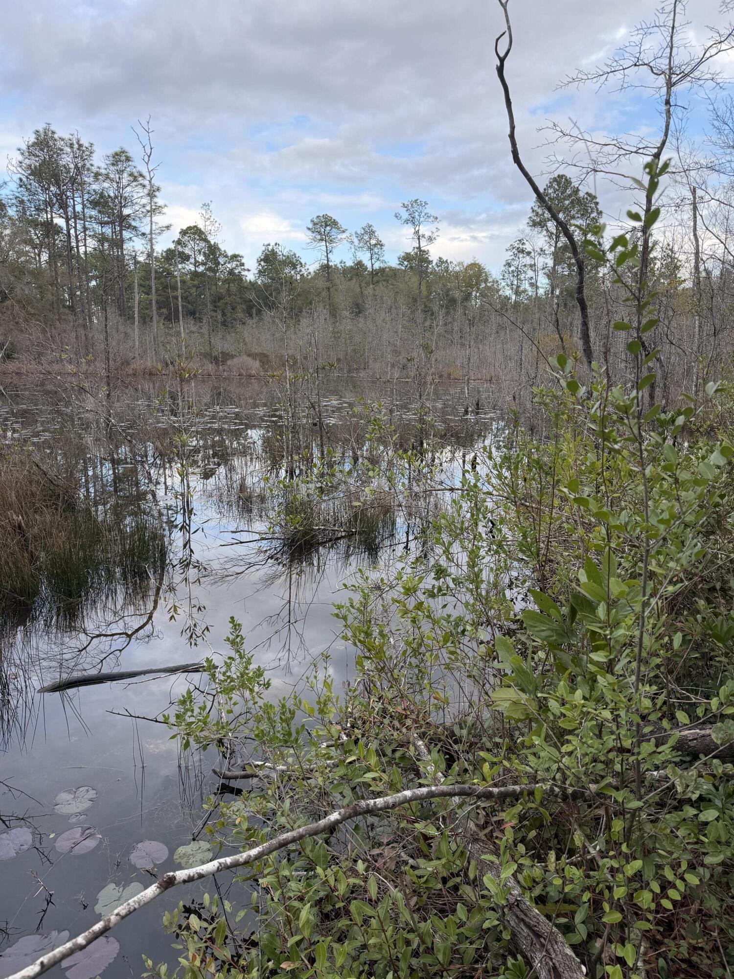 OAKWOOD HILLS UNIT 1 - Land