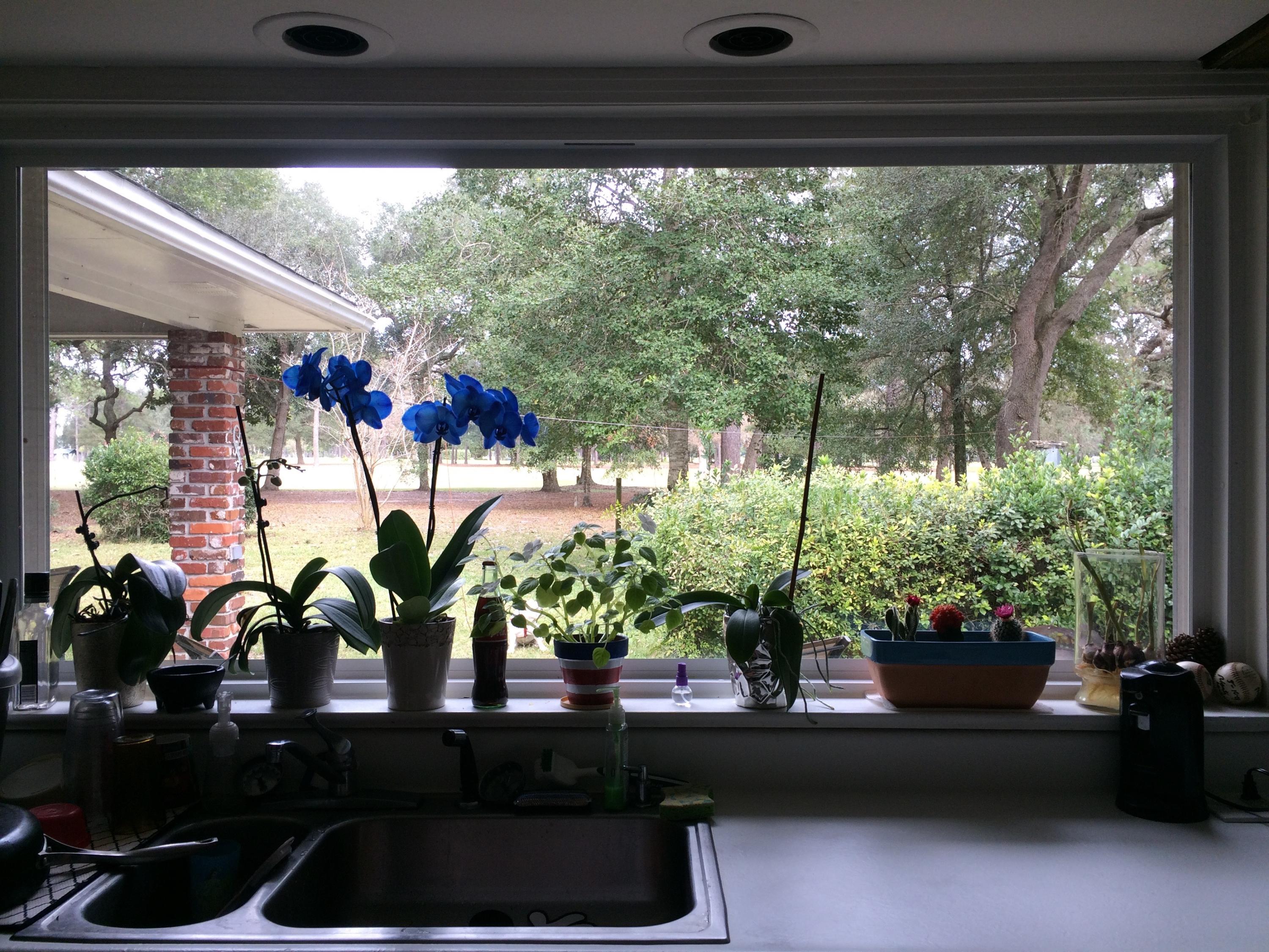 FOREST PARK - Residential