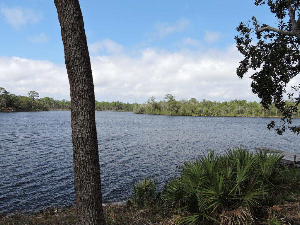 Come build your dream home on this lake front property with spectacular views. This property sits in a wonderful & established neighborhood. Peaceful and serene setting in Lake Pippin with mature live oaks on more than a half acre with 100 feet of waterfront, not to mention the lot is high & dry! This lot is located on a protected waterfront lake with channel access to the bay. INCREDIBLE!Come experience for yourself because nothing is better than your own waterfront home in a highly sought after neighborhood with A+ Niceville schools! Buyers must be escorted by agent to walk the lot.