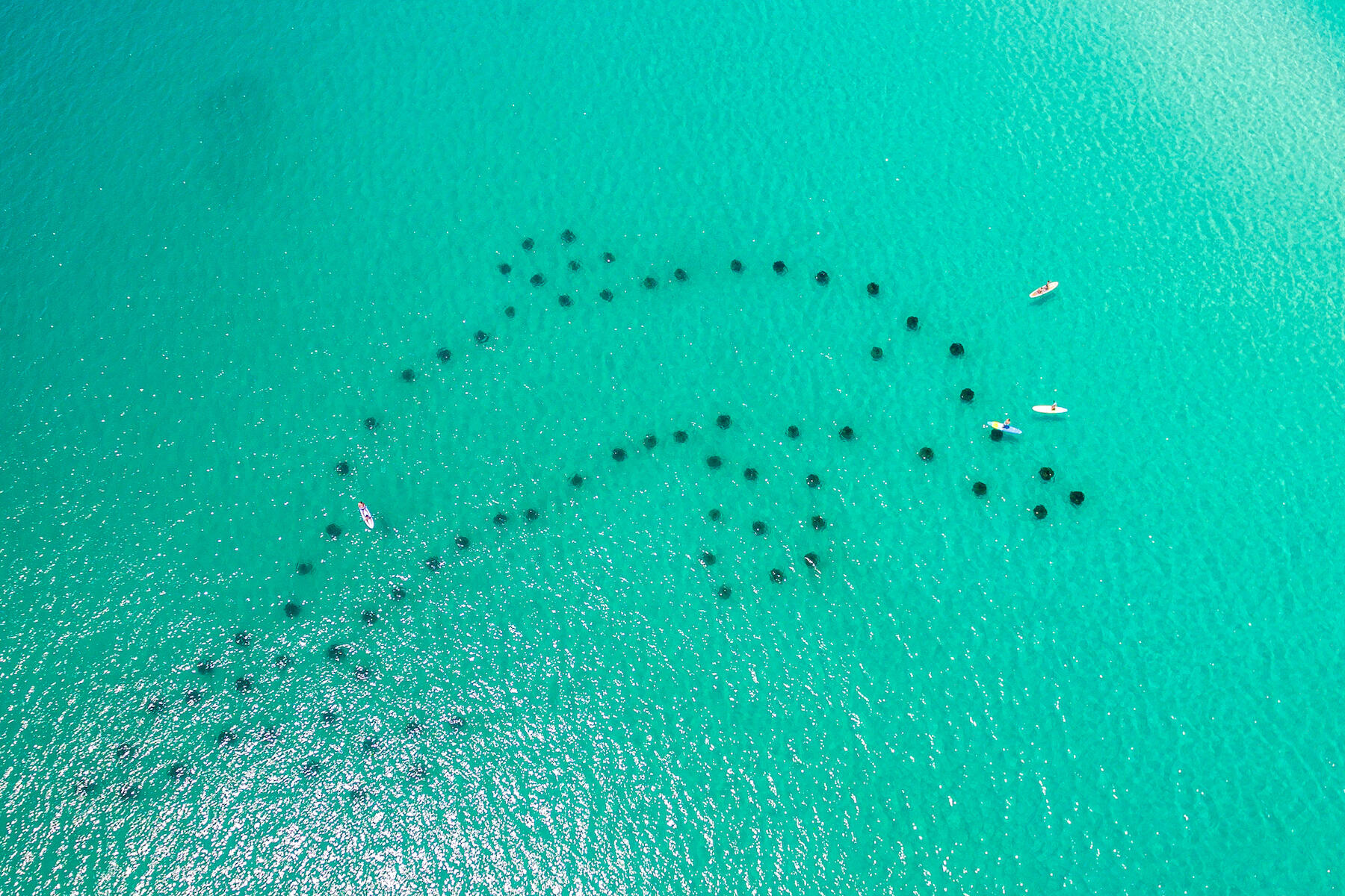 MISTY COVE T/H PH 2 - Residential