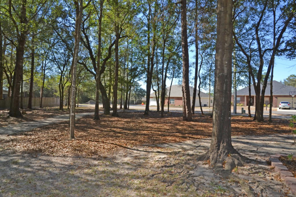 SAVANNAH OAKS - Residential