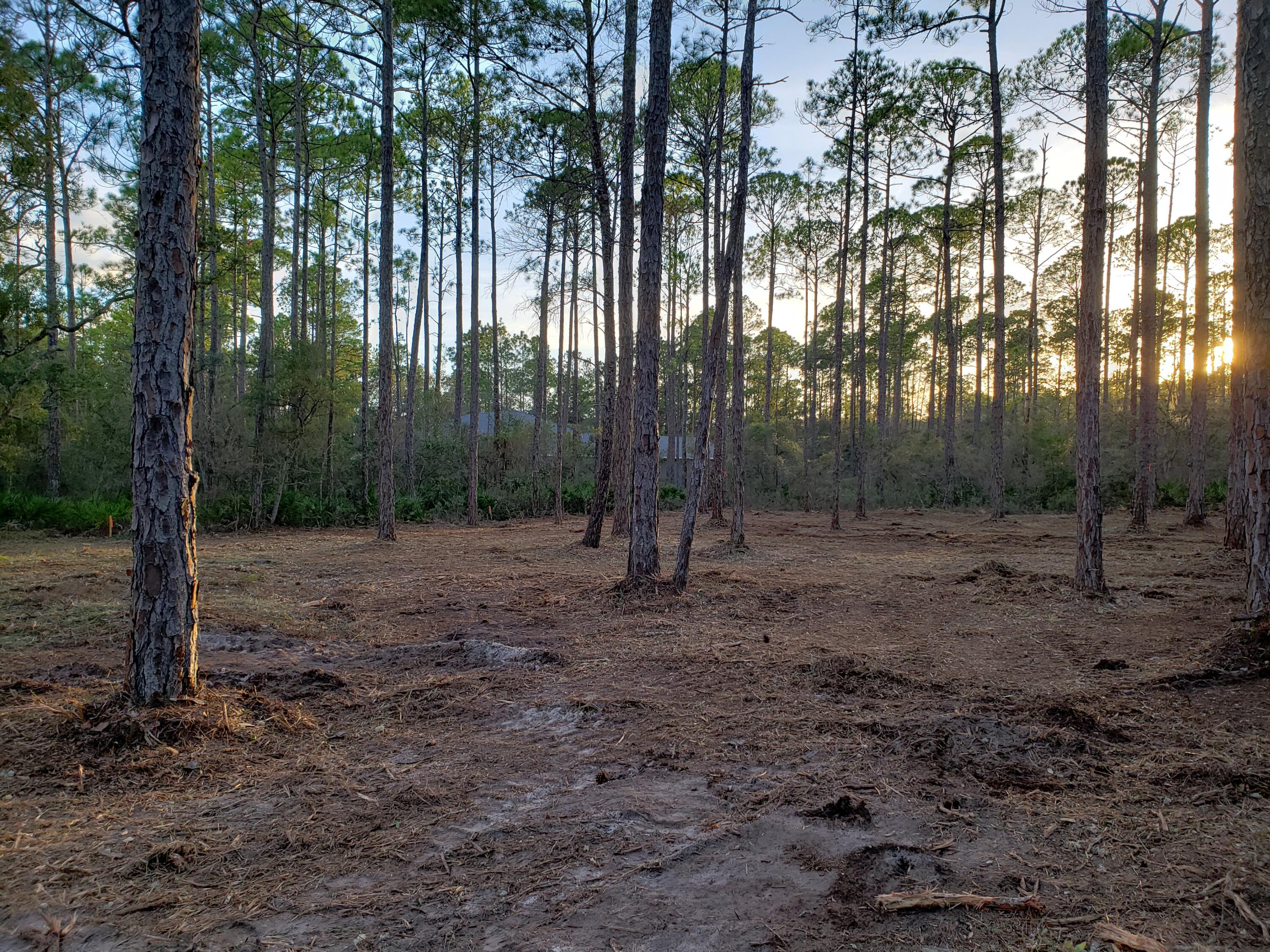 CROSS CREEK SHORES - Land