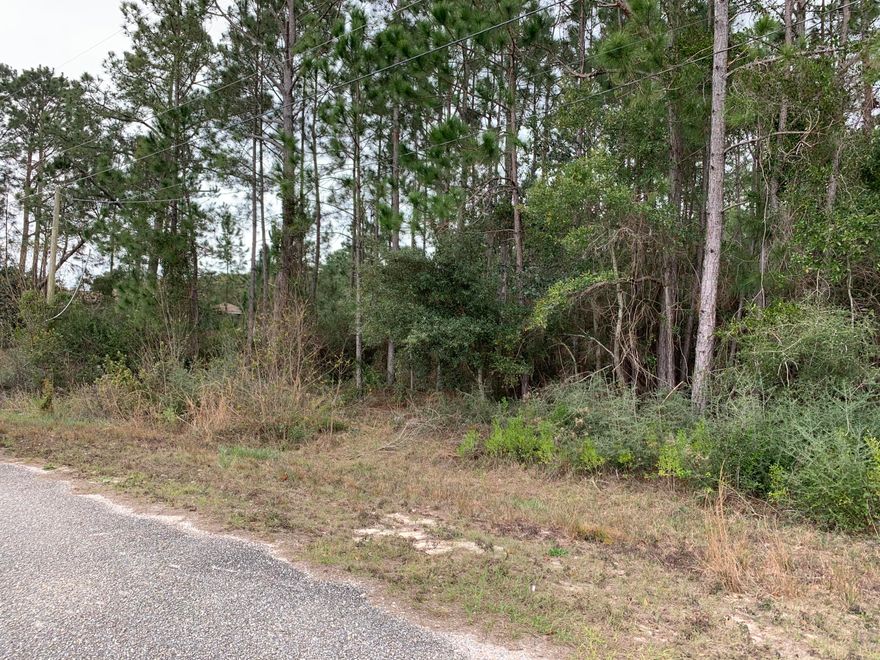 Come build your dream home and enjoy all the amenities Holly By The Sea has to offer on the gorgeous Emerald Coast. Don't wait, this wonderful lot won't last long!