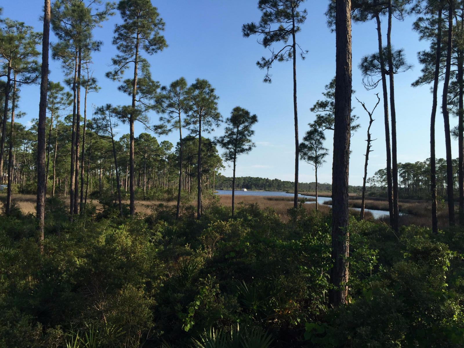 TOWN OF SANTA ROSA - Land