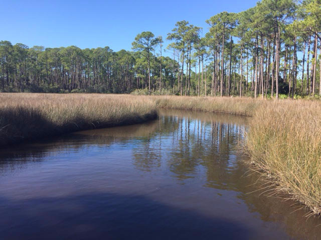 TOWN OF SANTA ROSA - Land