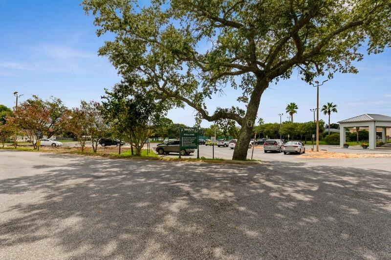 HOLLEY BY THE SEA - Land