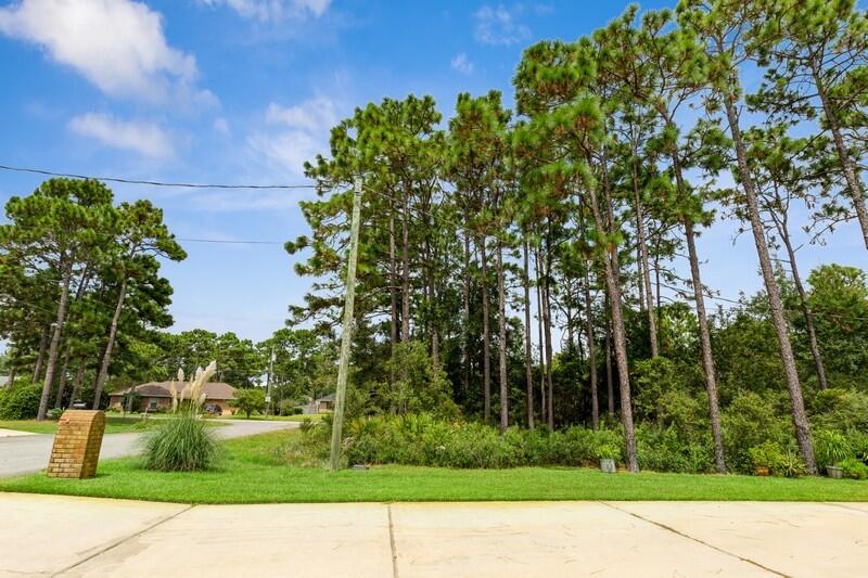 HOLLEY BY THE SEA - Land