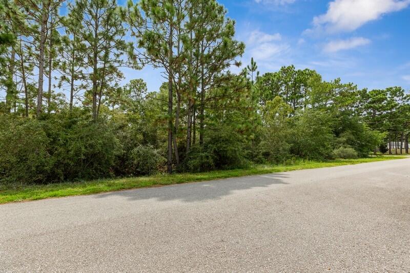 HOLLEY BY THE SEA - Land