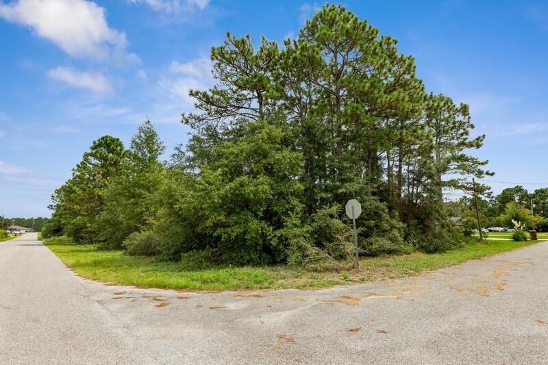 HOLLEY BY THE SEA - Land