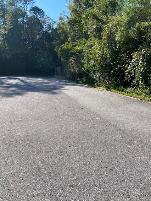 PALMETTO VILLAGE - Land