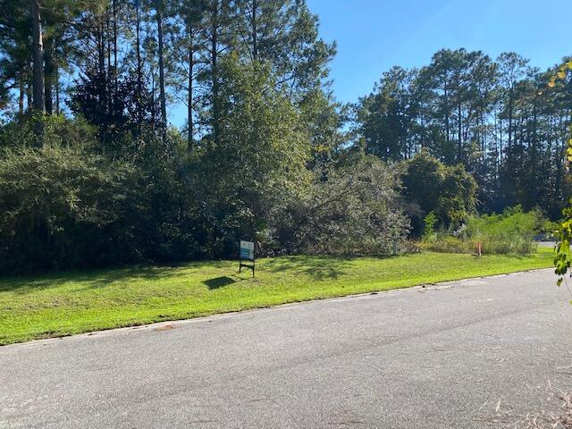 PALMETTO VILLAGE - Land