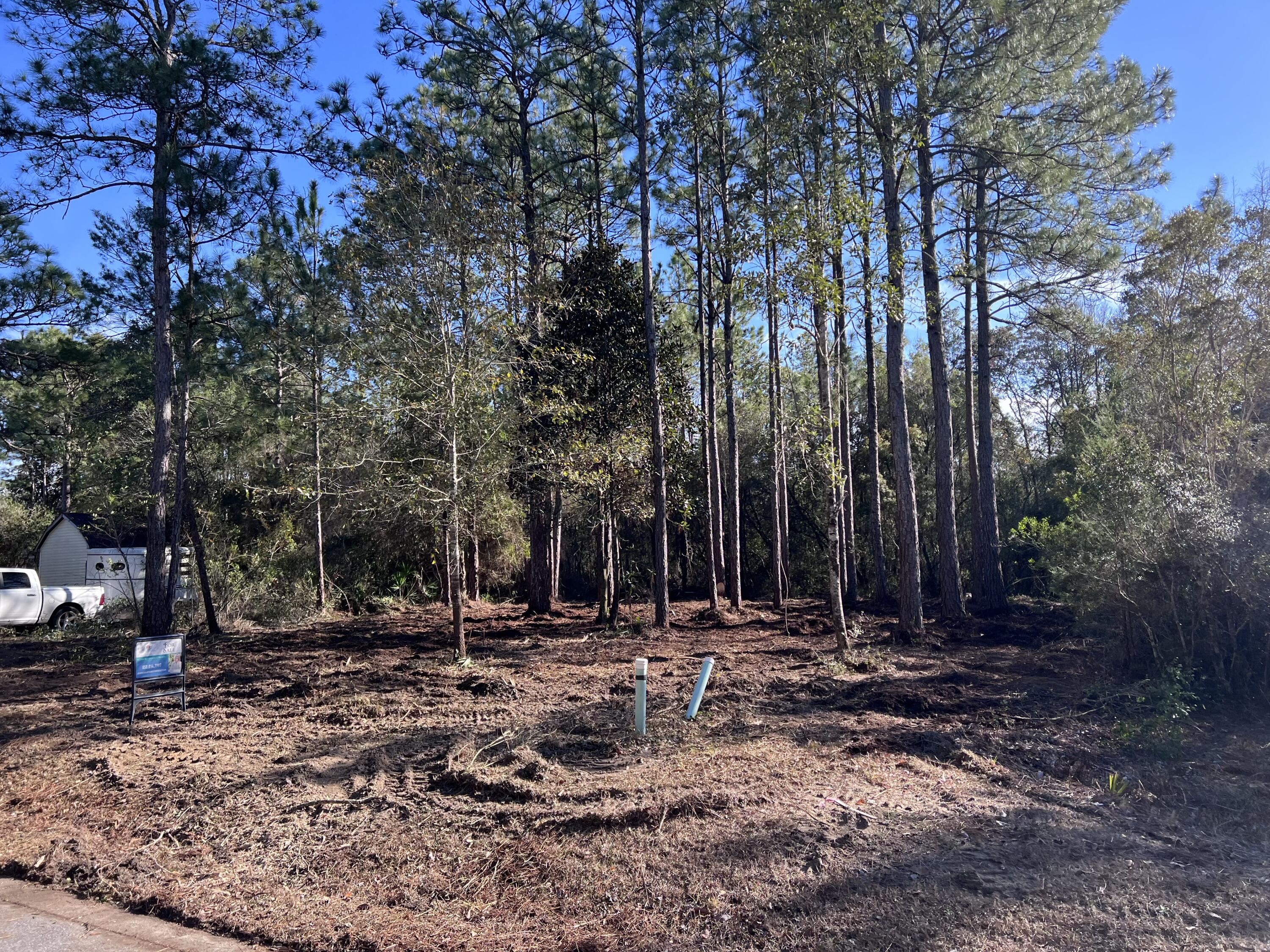 PALMETTO VILLAGE - Land