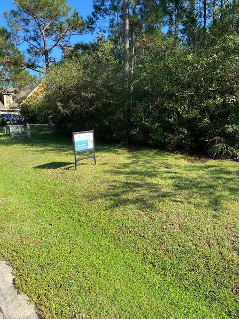 PALMETTO VILLAGE - Land