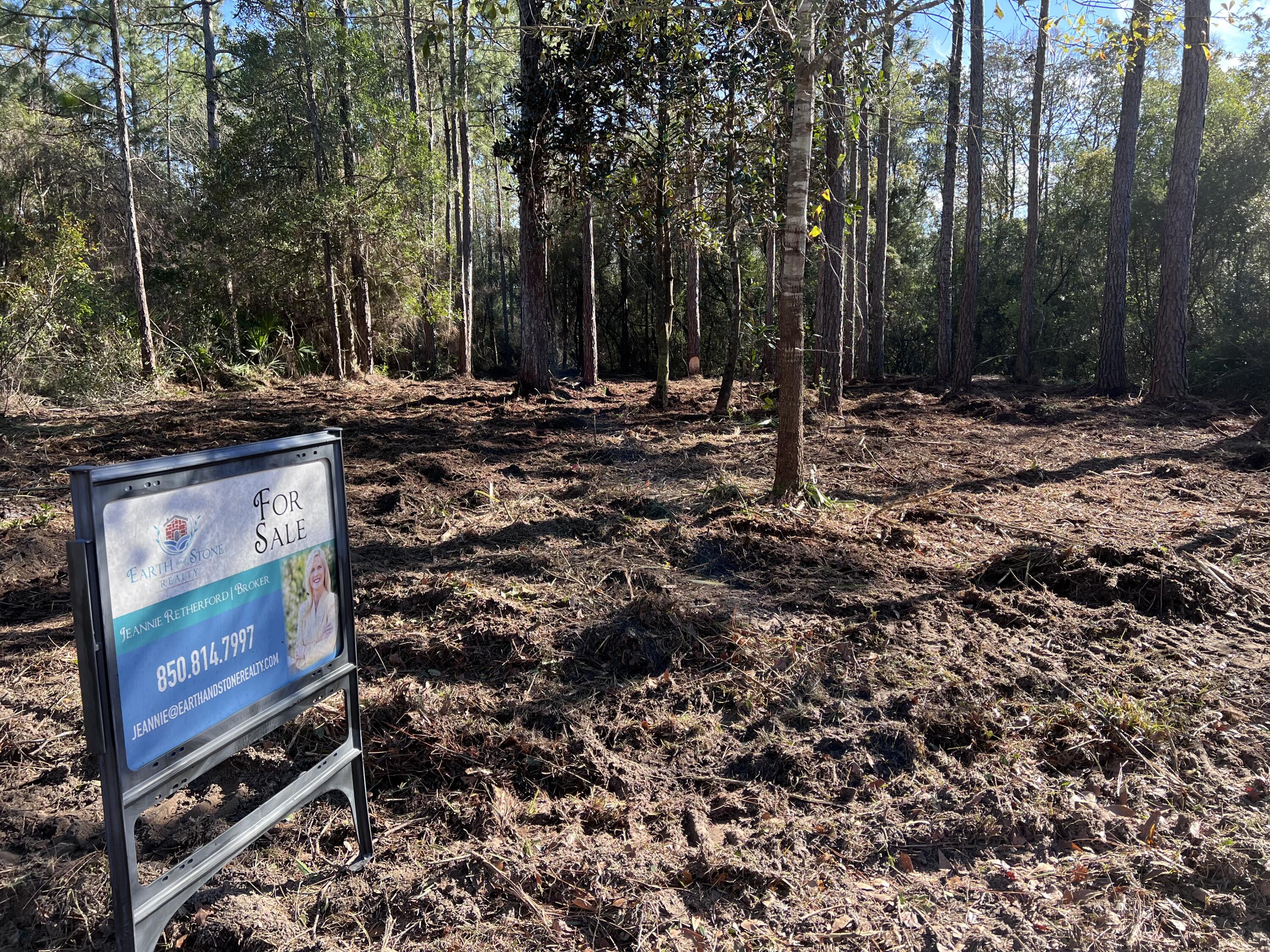 PALMETTO VILLAGE - Land