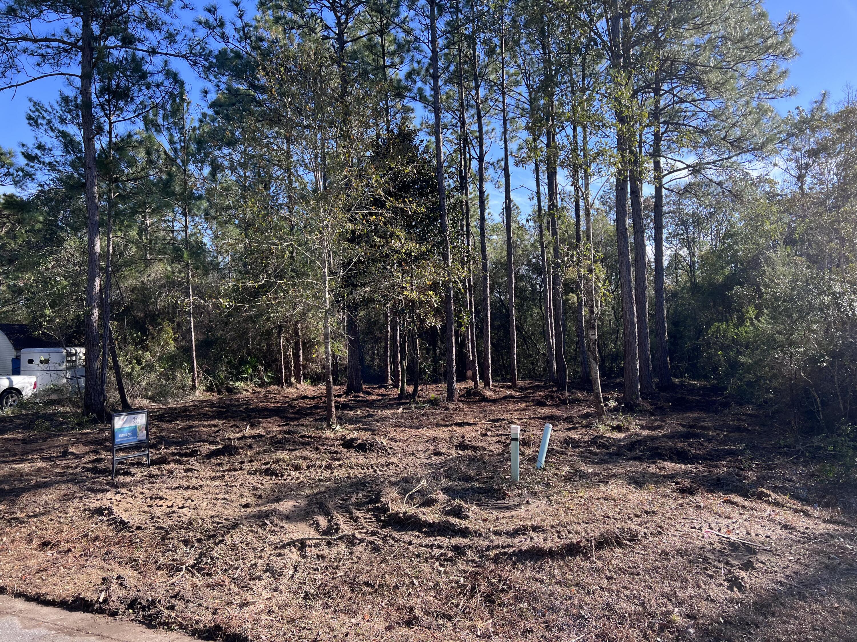 PALMETTO VILLAGE - Land