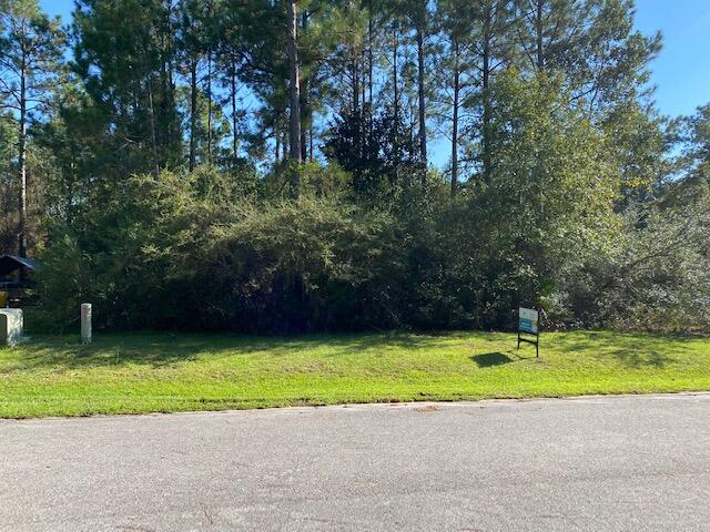 PALMETTO VILLAGE - Land