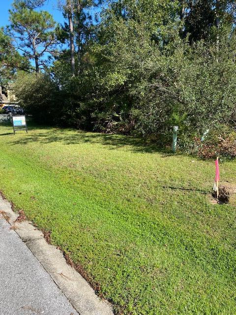 PALMETTO VILLAGE - Land