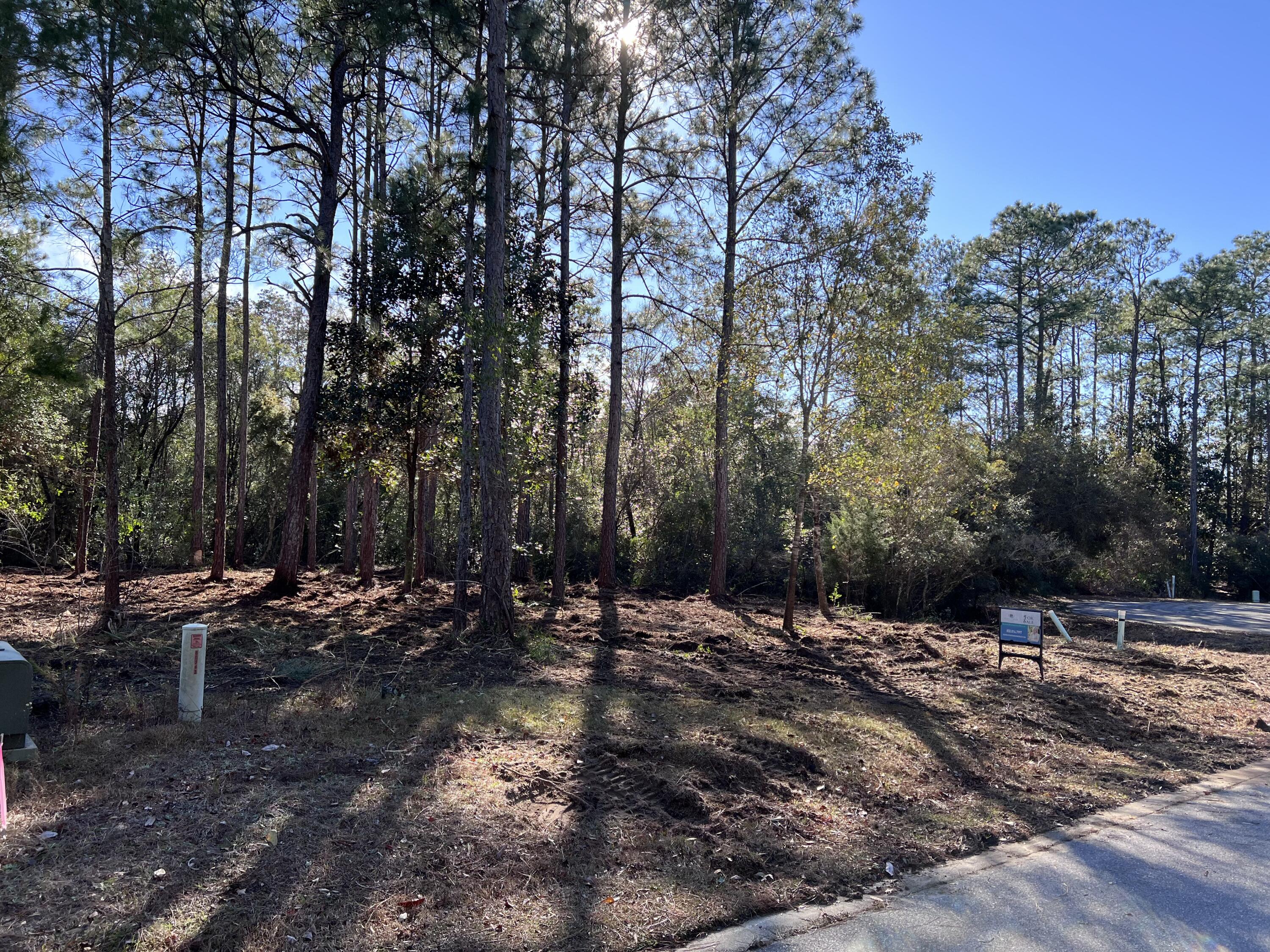 PALMETTO VILLAGE - Land