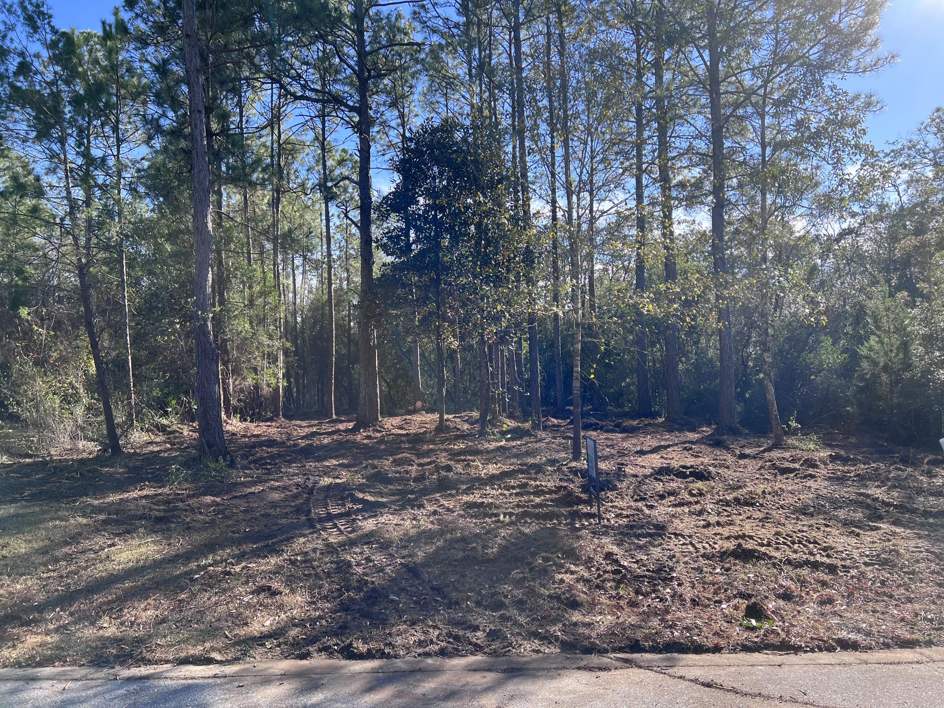 PALMETTO VILLAGE - Land