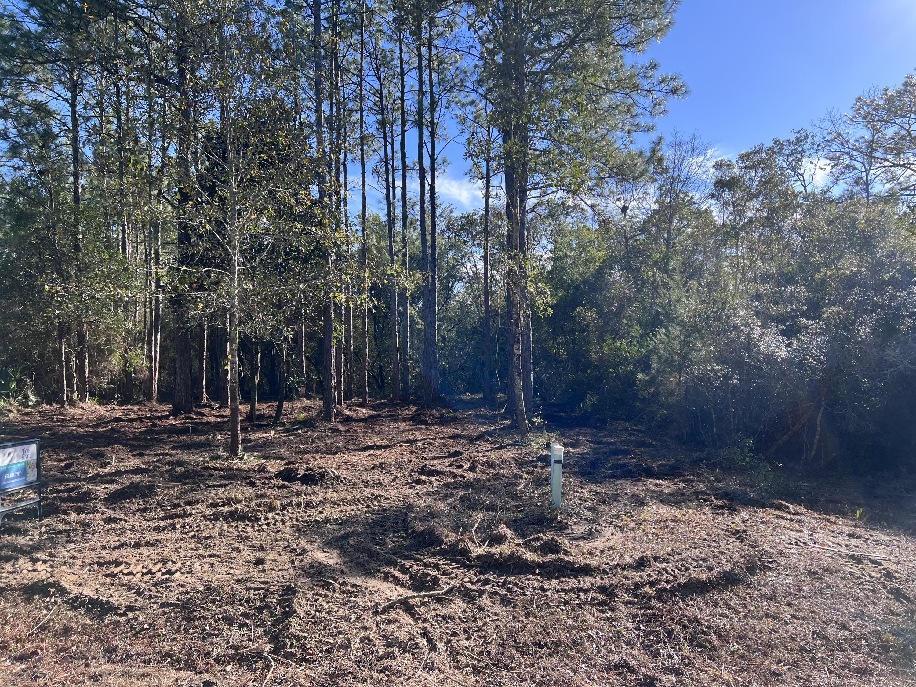 PALMETTO VILLAGE - Land