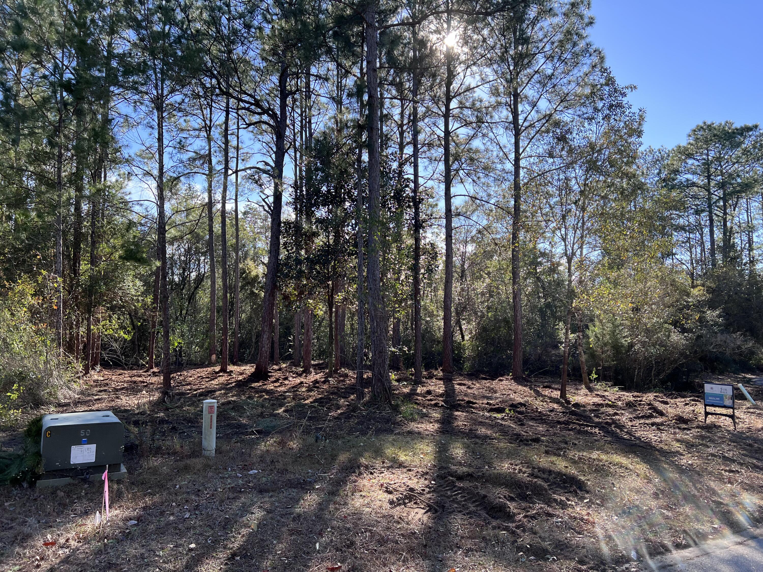 PALMETTO VILLAGE - Land