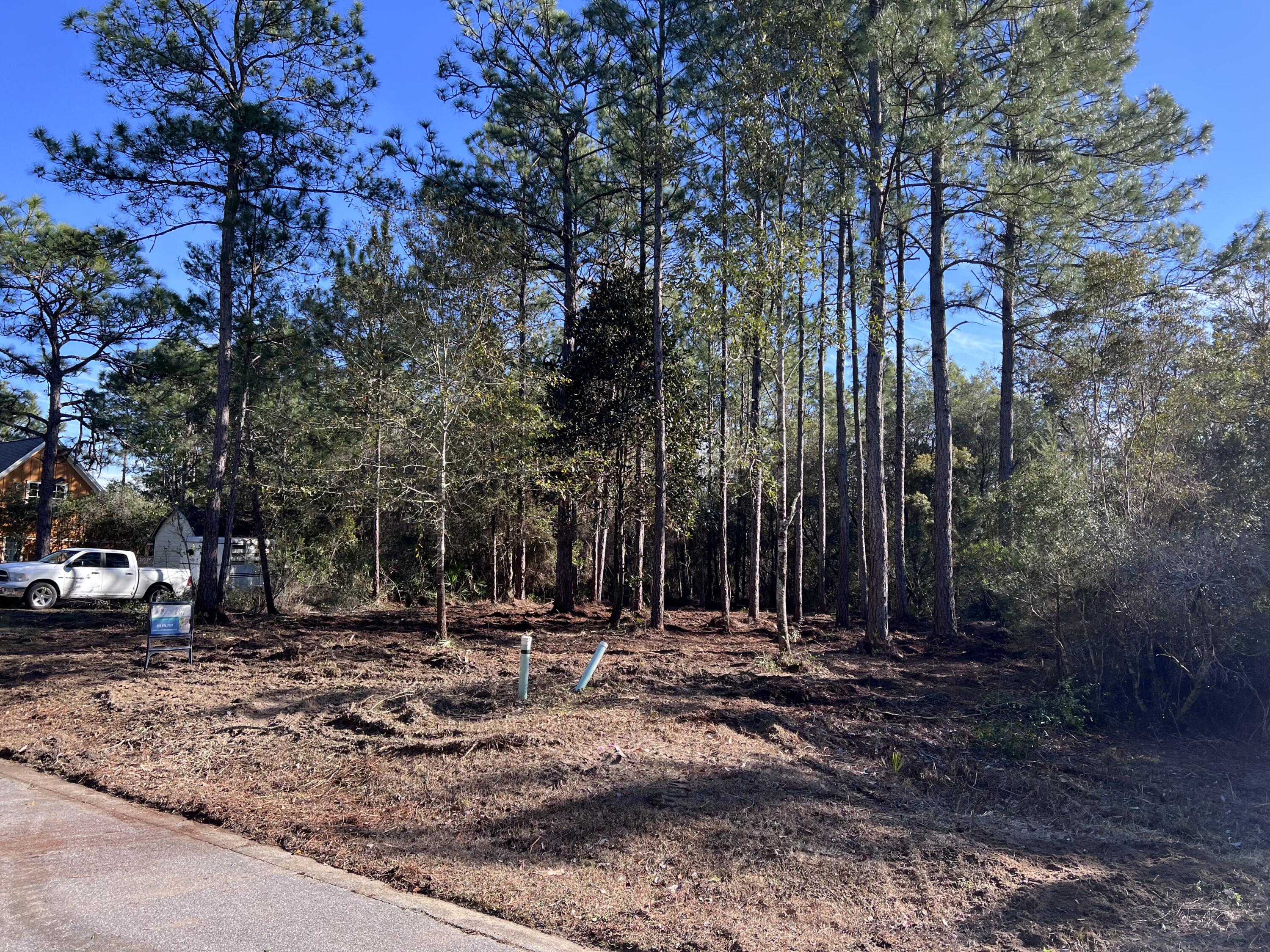 PALMETTO VILLAGE - Land