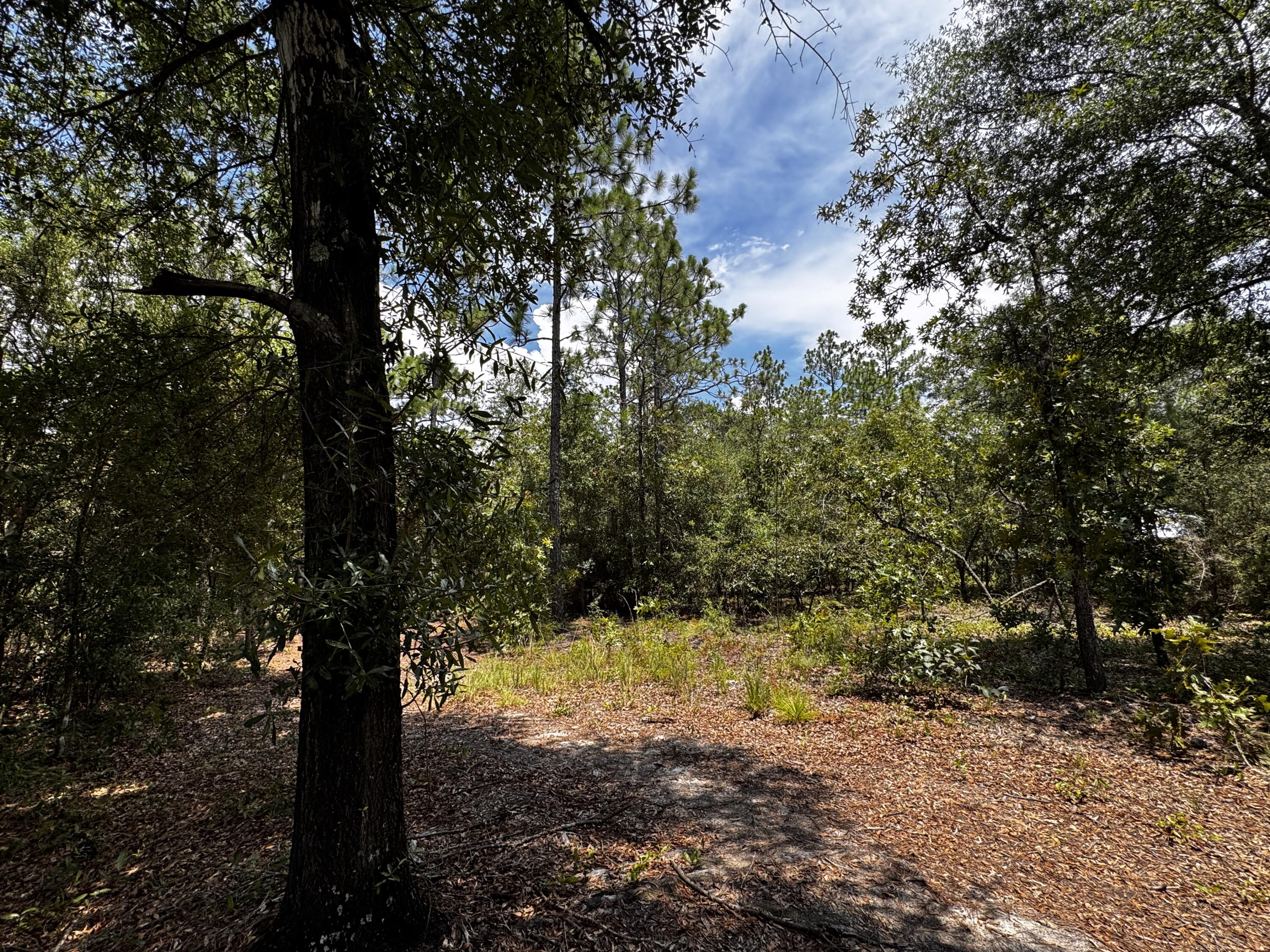 OAKWOOD HILLS UNIT 1 - Land