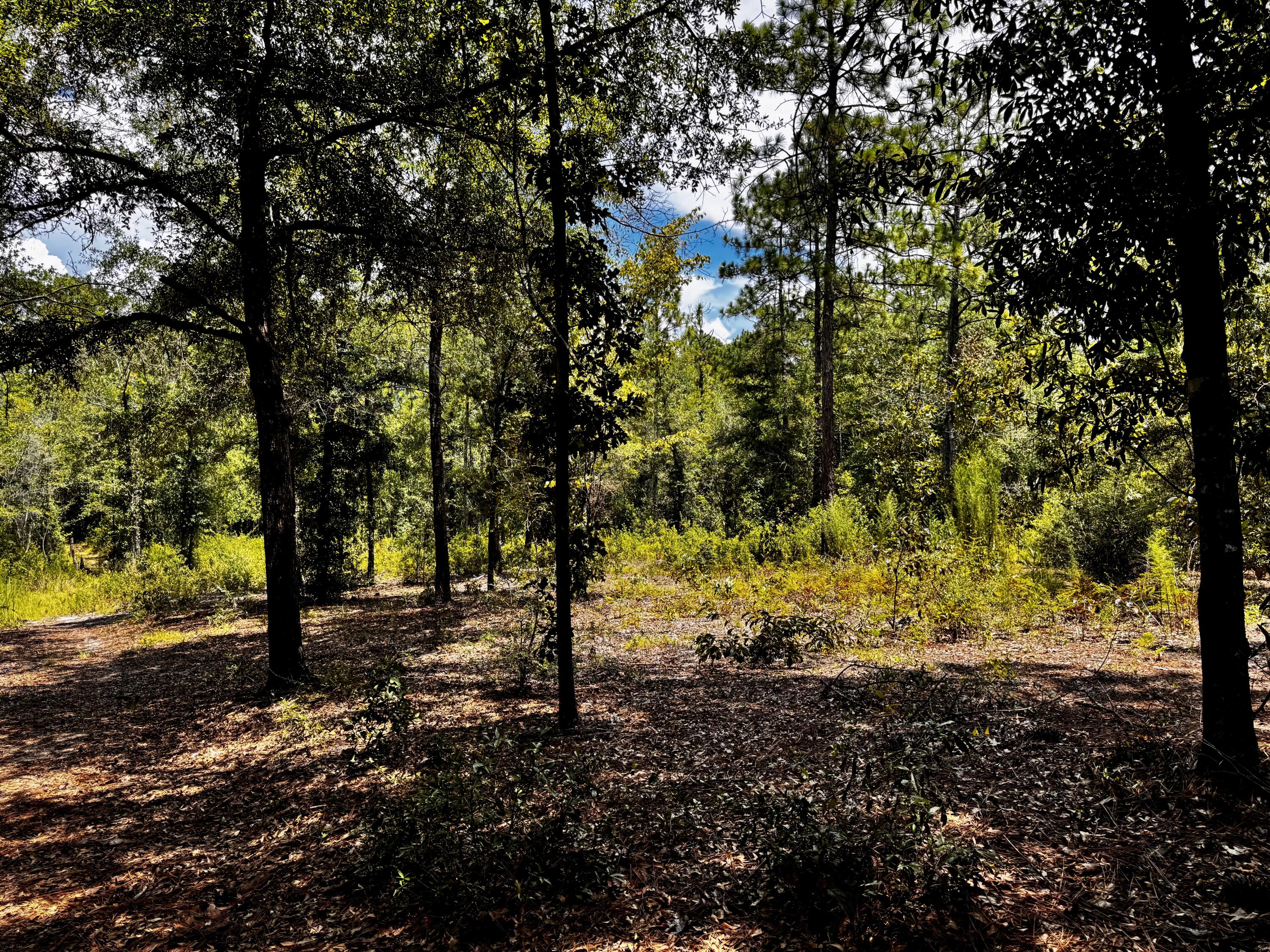 OAKWOOD HILLS UNIT 1 - Land