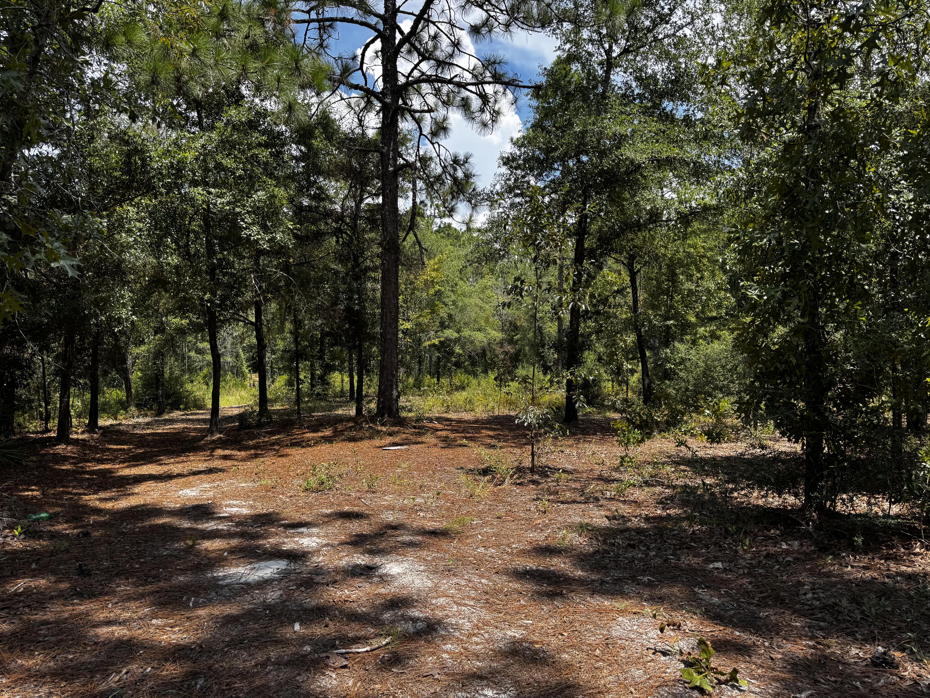 OAKWOOD HILLS UNIT 1 - Land