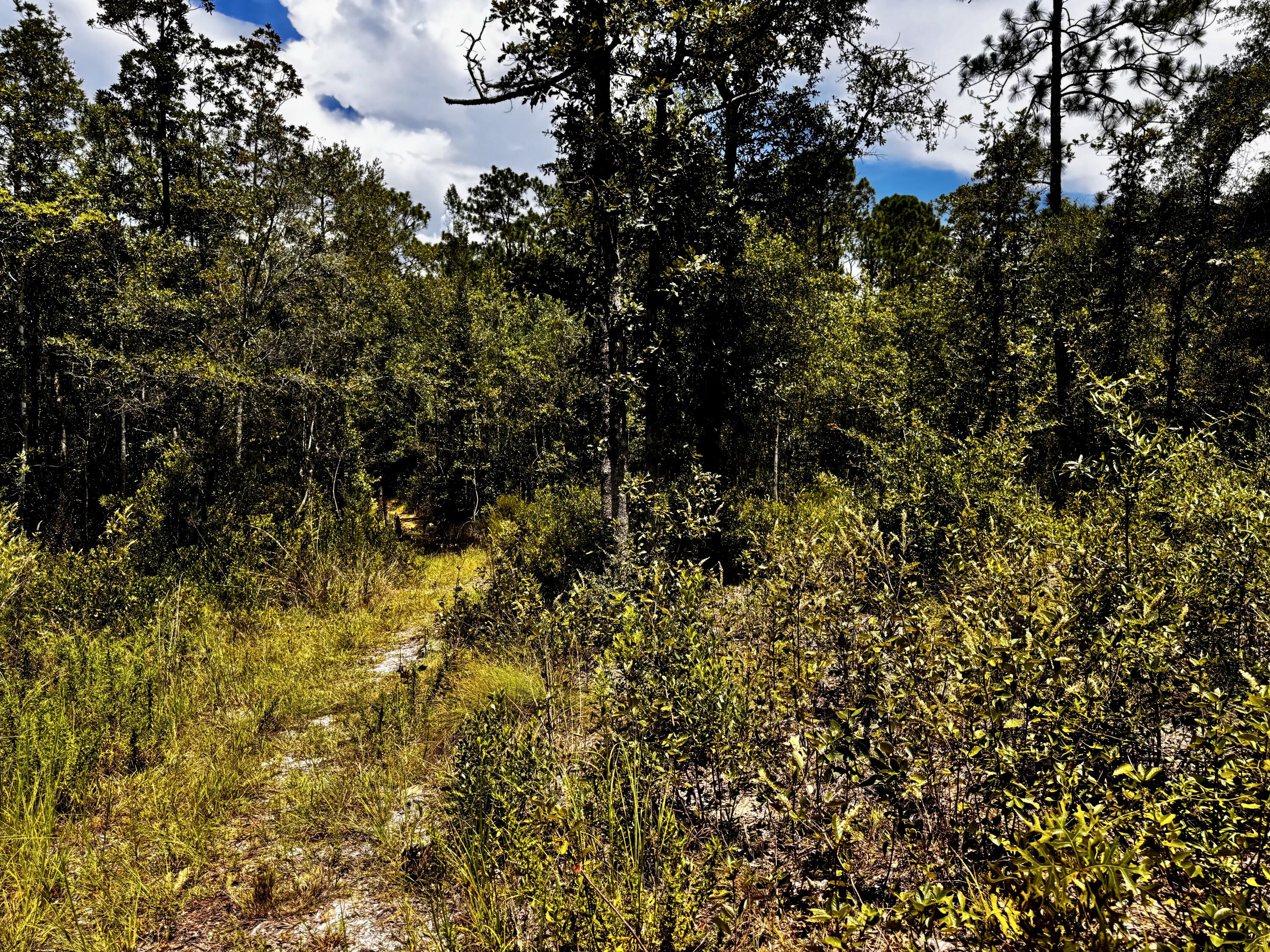 OAKWOOD HILLS UNIT 1 - Land