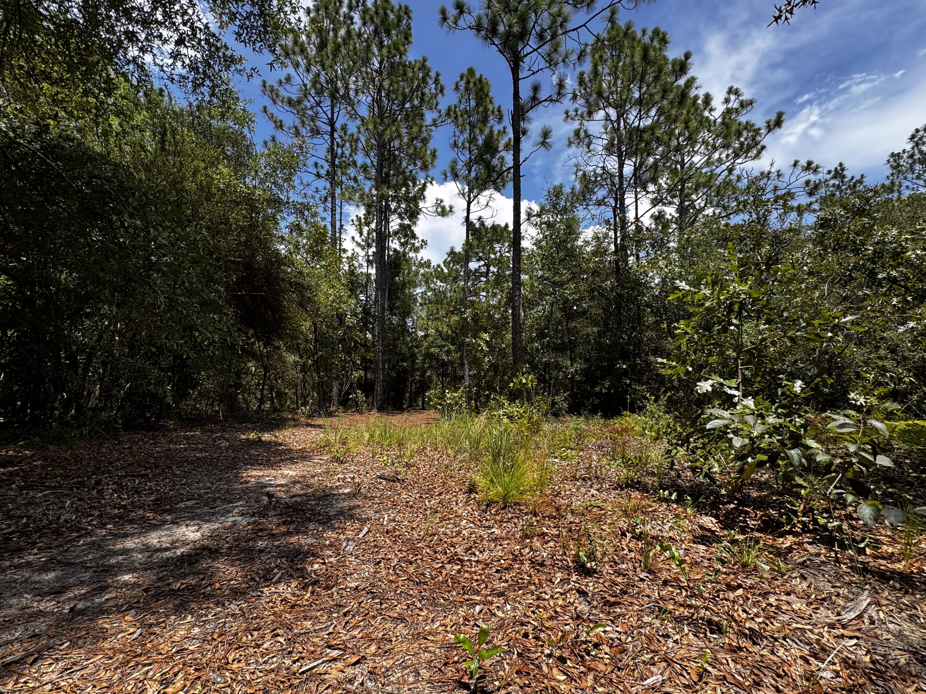 OAKWOOD HILLS UNIT 1 - Land