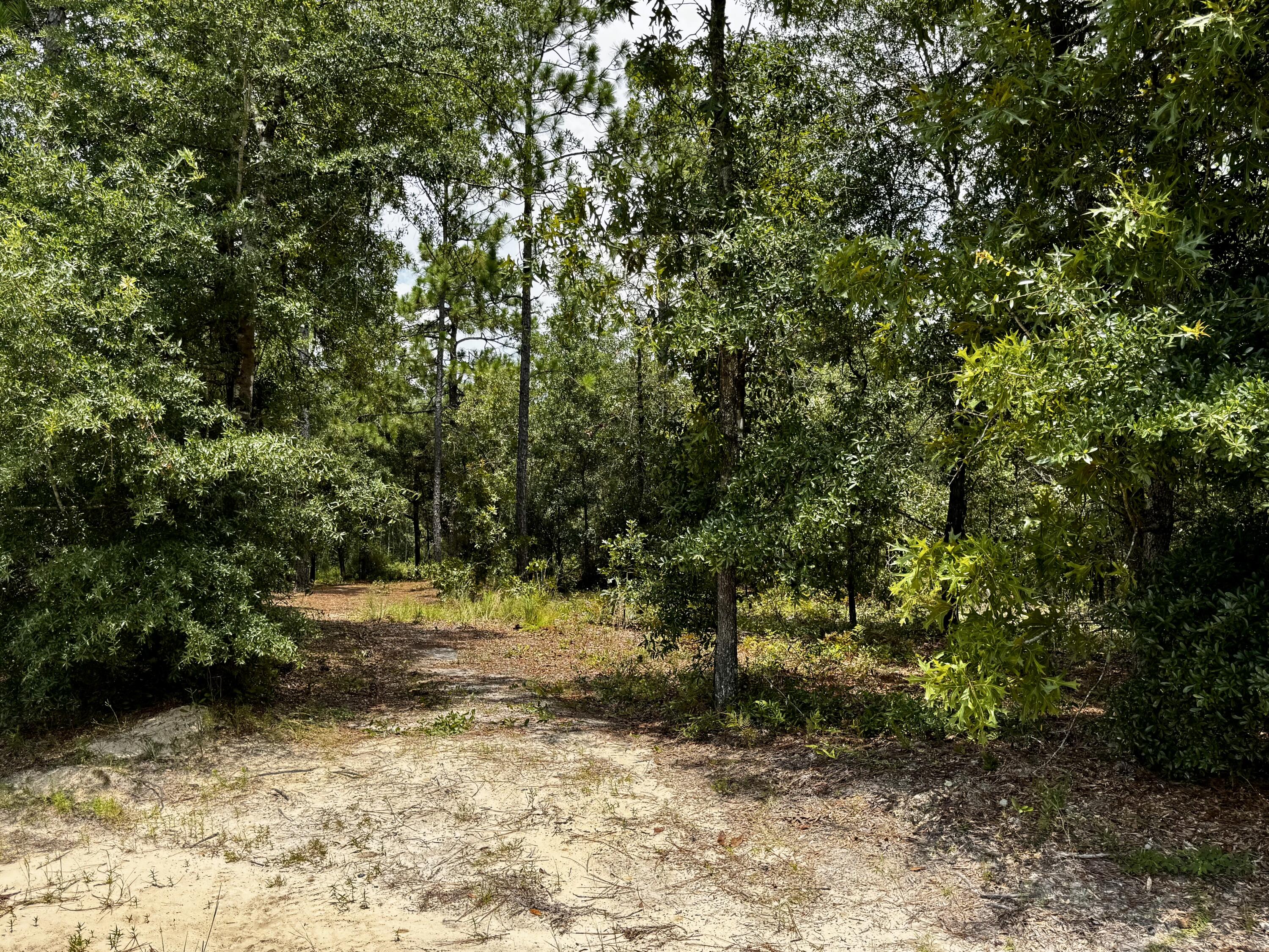 OAKWOOD HILLS UNIT 1 - Land