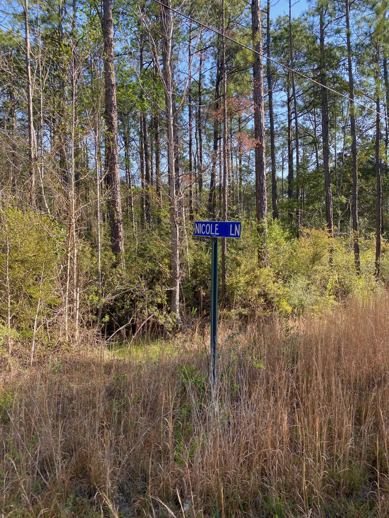 A lovely wood lot, close to the conveniences to Freeport and Santa Rosa Beach. Minutes to the sugar white sand of the Emerald Coast. 1.48 acre level lot, zoned rural village allowing for single family or mobile home. Verify all information.