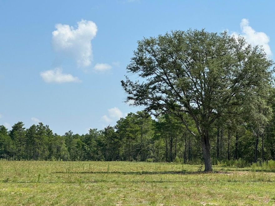 OH WOW what a tract of land, situated almost exactly center between DeFuniak Springs, and Crestview. Has so many possibilities for usage.  This is one for the investors to take a look at....What would YOU bring to DeFuniak Area on this property??  Zoned for multiple uses!! Will need engineering and DO. RV PARK, WELDING SHOP, Non-Residential less than  5,000K sq ft. gross floor area buildings, Farm and Agricultural, Kennel and Veterinany Services,  Rural General Store, Bait and Tackle Shops, Shooting Ranges,  RV Park Or Campground,  and Riding or Boarding Stables. This Property is ONLY $61K per Acre and has so many USES available.