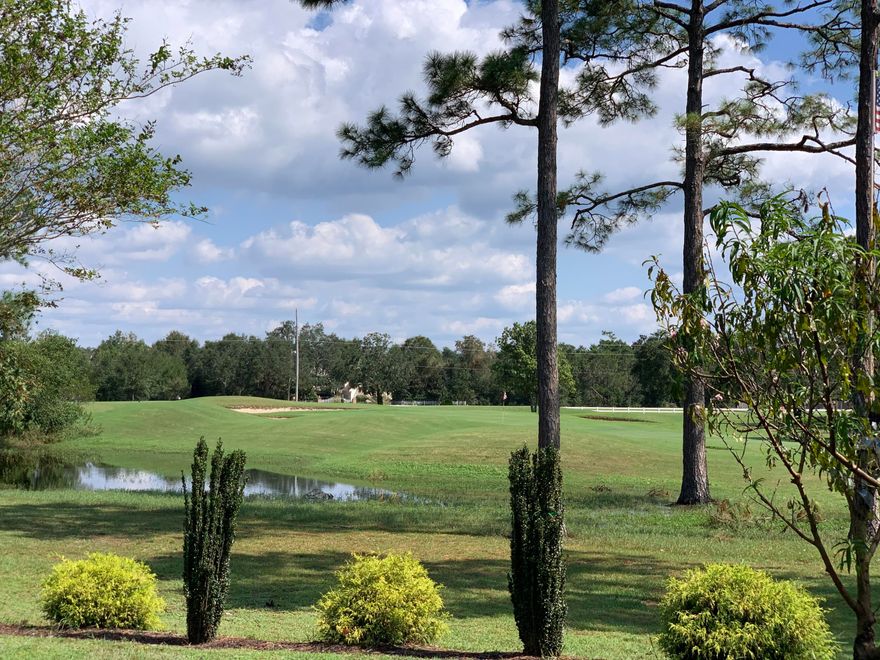 Golfers, Welcome to this immaculate home which backs up to the 1st hole green! You can sit and Relax in your backyard overlooking Hidden Creek Golf course. As you enter the foyer you notice the beautiful architectural angles throughout this well designed floor plan; Archways to large dining room for entertaining family and friends; On the right side can be an office, study (or previously dining area) with new hardwood flooring, Living area has cathedral ceilings, lots of light and Golf course view; Kitchen has Bay Window breakfast nook,  and has bar area for extra seating with appliance storage under bar area; beautiful granite countertops, new pecan glaze custom cabinets, large upscale refrigerator, new stove, and all stainless steel appliances! 2020 HVAC, 2020 Water Heater, new dedicated