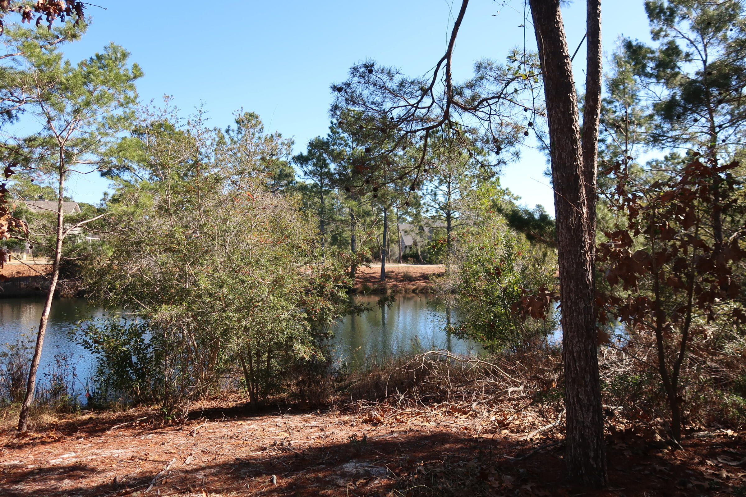 WILD HERON PHASE V 5 - Land