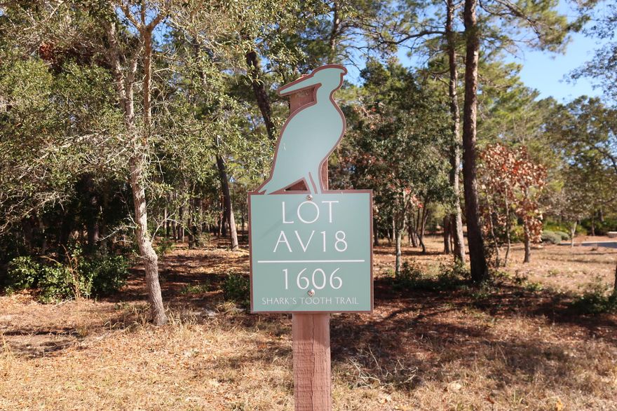 Opportunity to build your dream home in the gulf coast's most unique gated lakefront community. Wild Heron is a 734-acre sanctuary on the shore of Florida's largest coastal dune lake, Lake Powell. You will enjoy the lakefront heated swimming pool, hot tub, fitness center, fishing dock boathouse with kayaks for resident's use to explore Lake Powell, lakefront boardwalk fire pit and a gathering area with fireplace overlooking Lake Powell. Wild Heron is located between Rosemary Beach on Scenic Highway 30A and the west end of Panama City Beach which offers beach, restaurants and Pier Park.