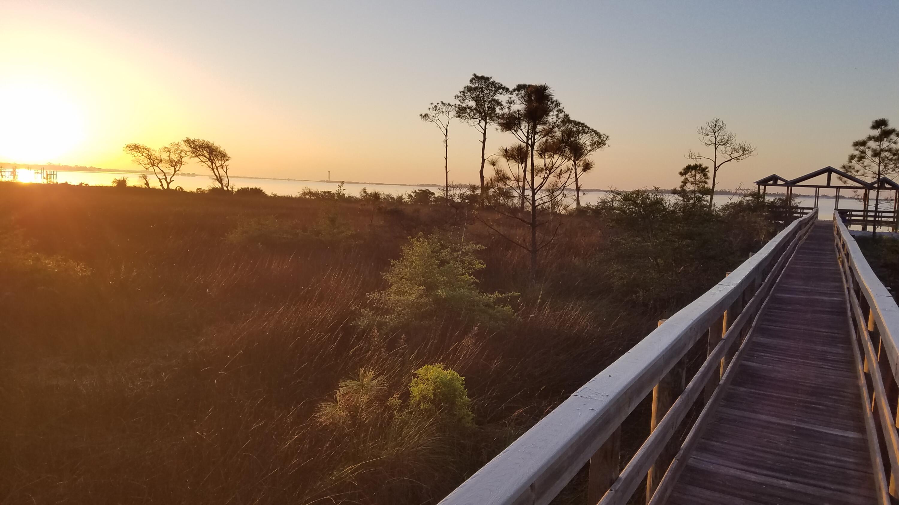 BISCAYNE POINTE - Residential