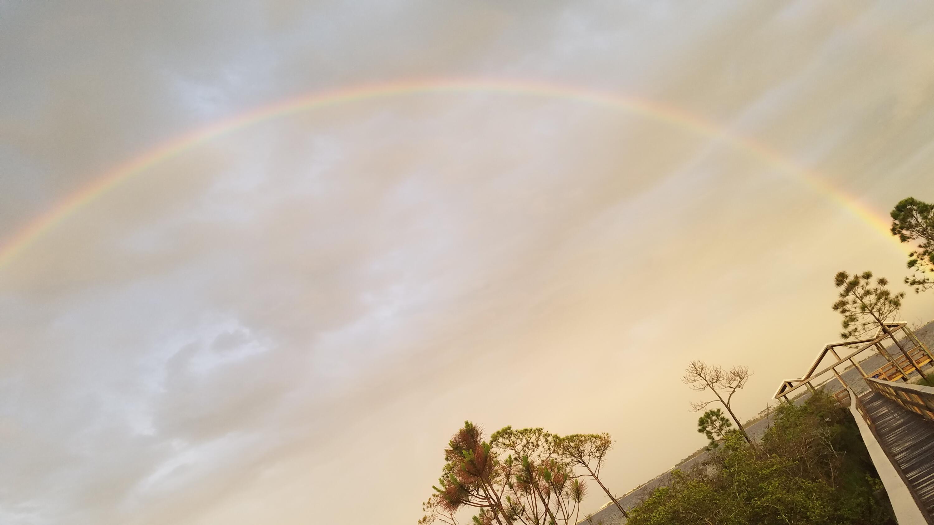 BISCAYNE POINTE - Residential