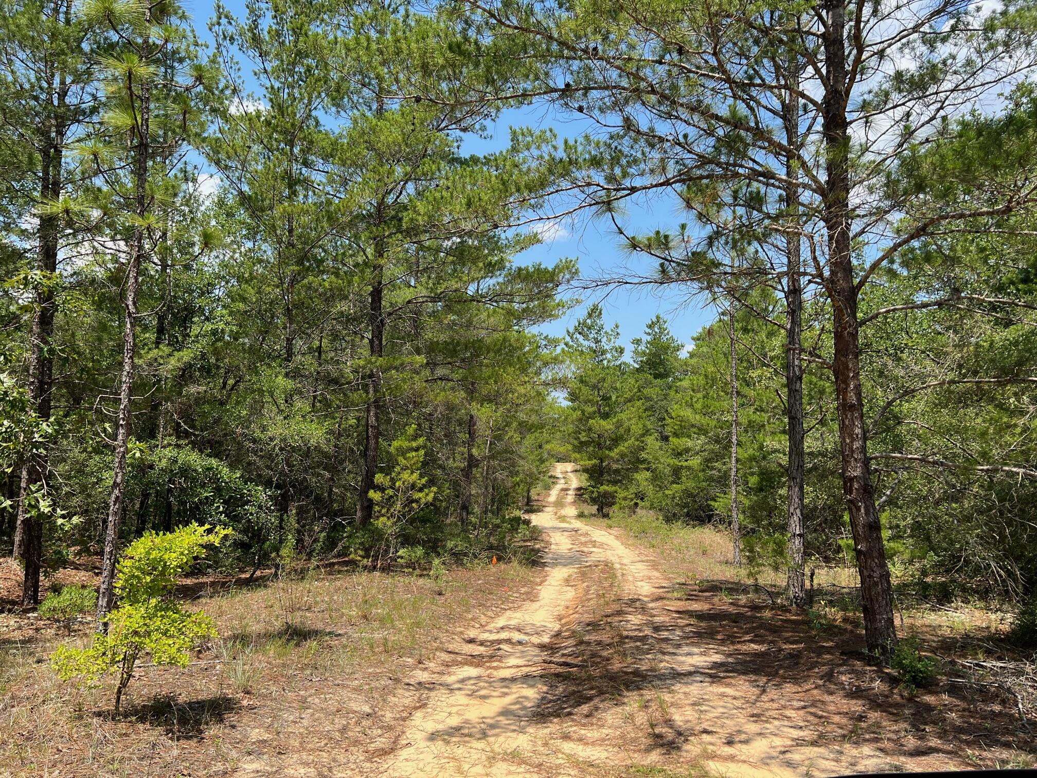 OAKWOOD HILLS UNIT 5 - Land