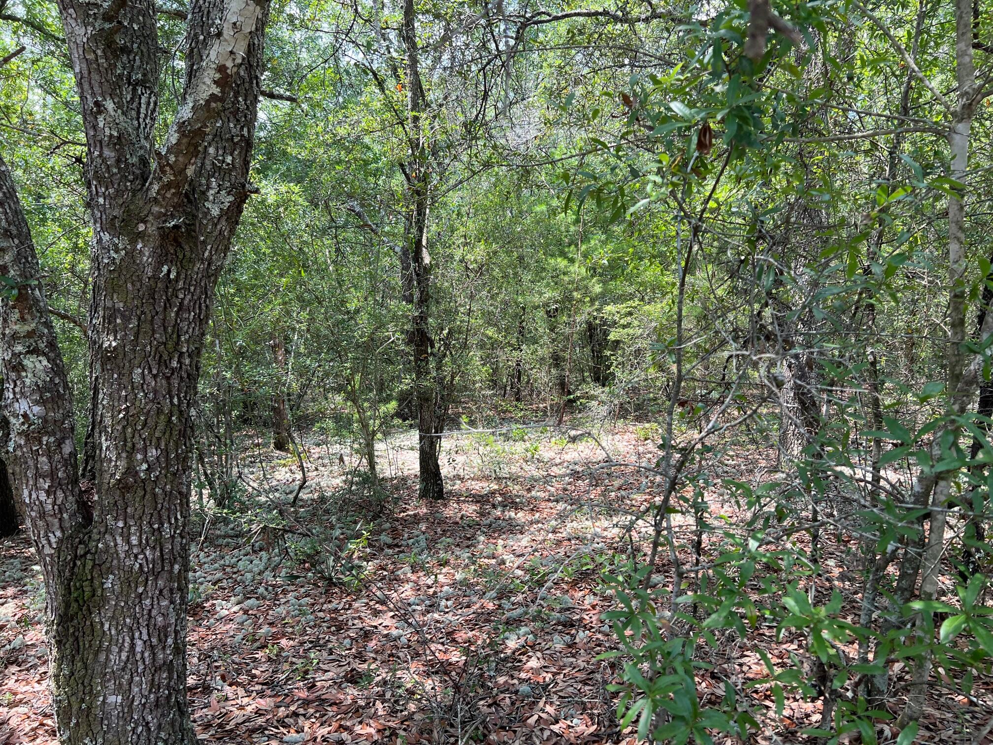 OAKWOOD HILLS UNIT 5 - Land