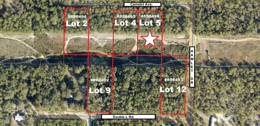 Apx. 1 acre lot in growing Mossy Head area of Defuniak Springs. Suitable for new construction or manufactured homes. There is a significant slope to the property and power line easement runs through the back 1/2 of lot. Camelot Ave is not a county maintained road.