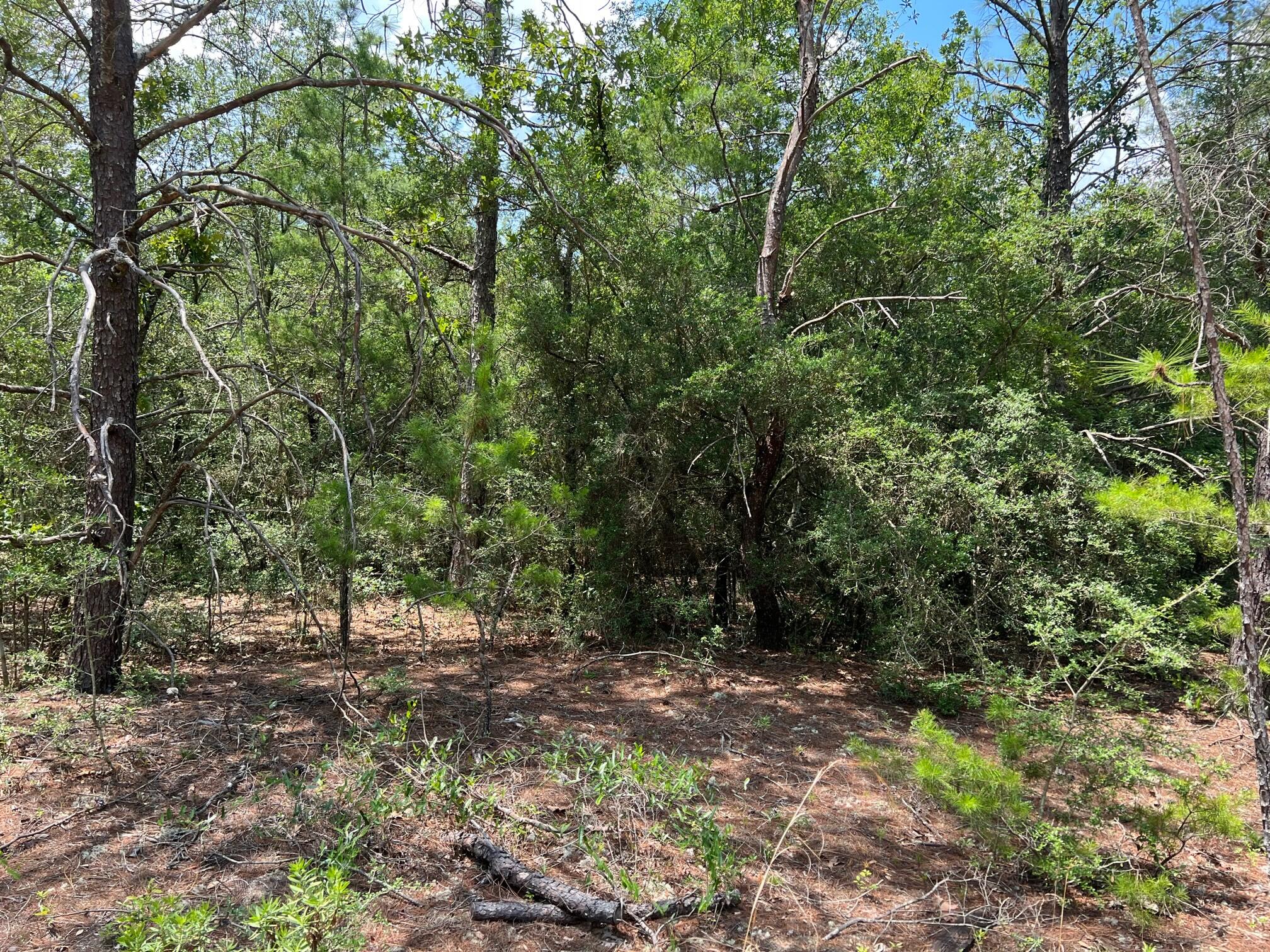 OAKWOOD HILLS UNIT 5 - Land