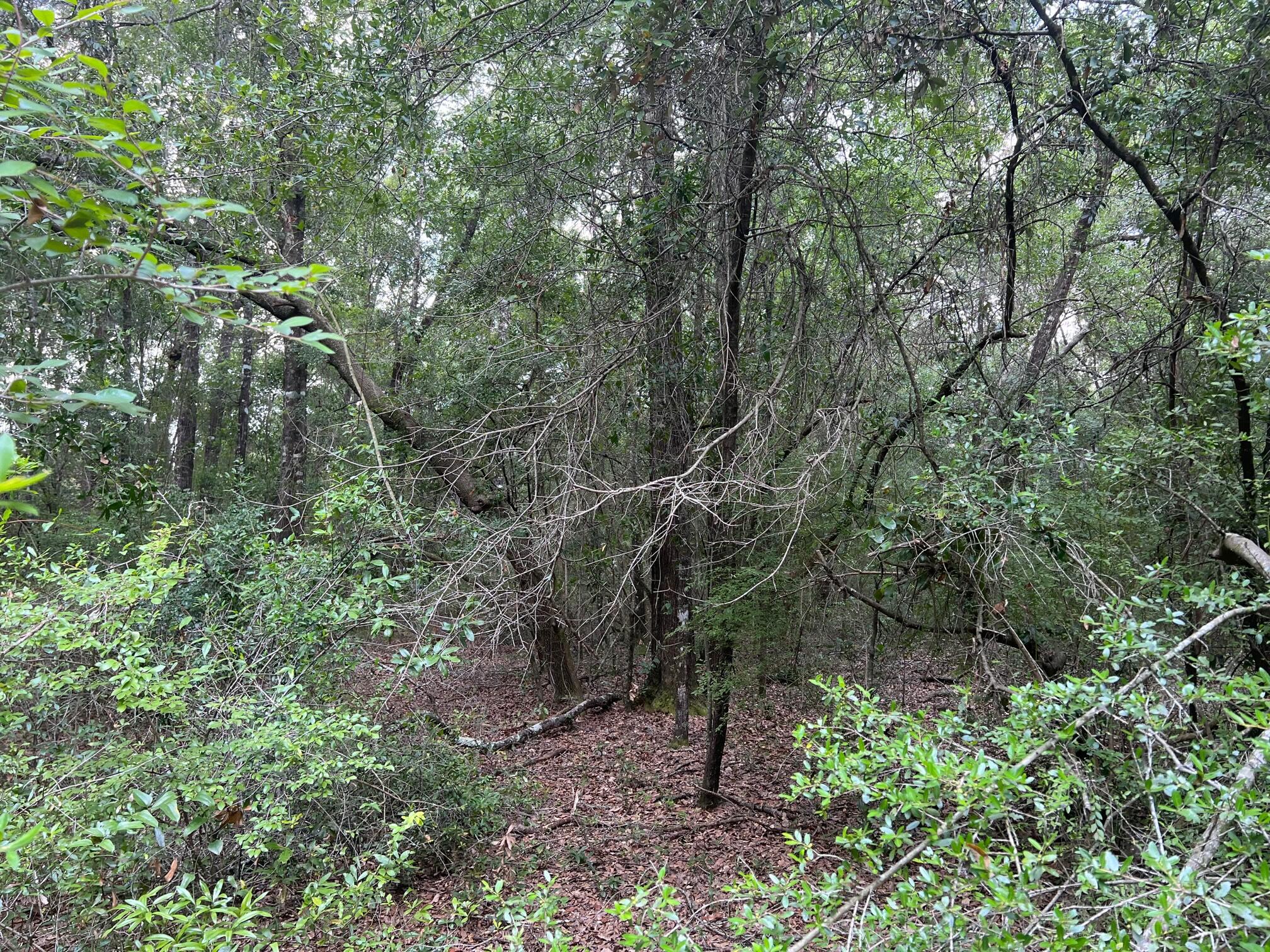 OAKWOOD HILLS UNIT 5 - Land