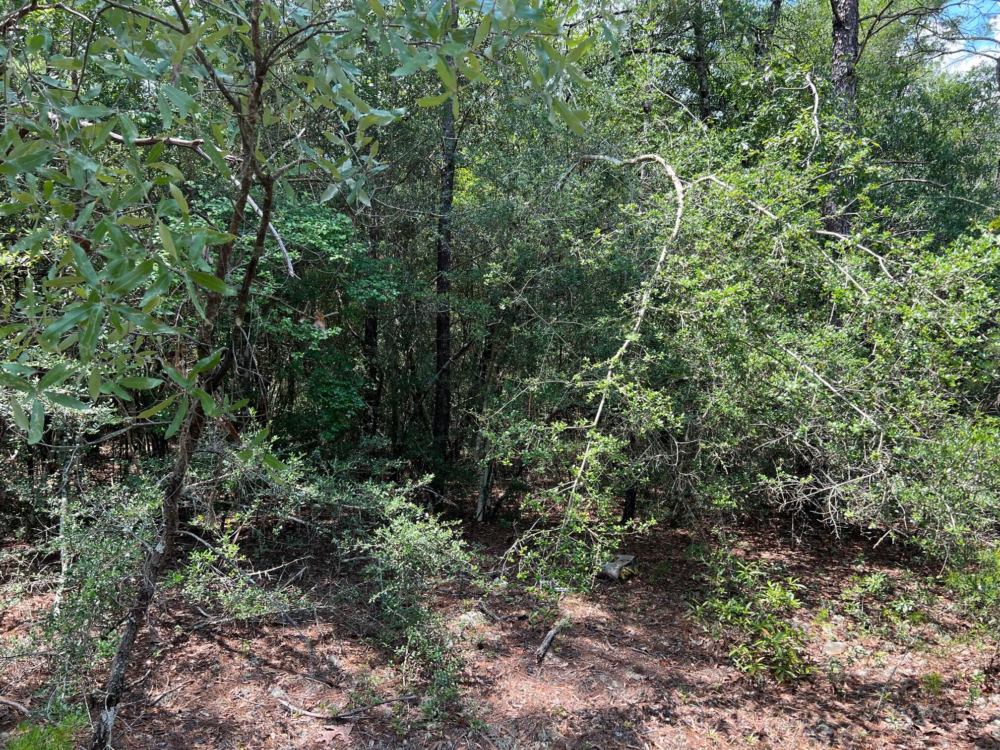 OAKWOOD HILLS UNIT 5 - Land