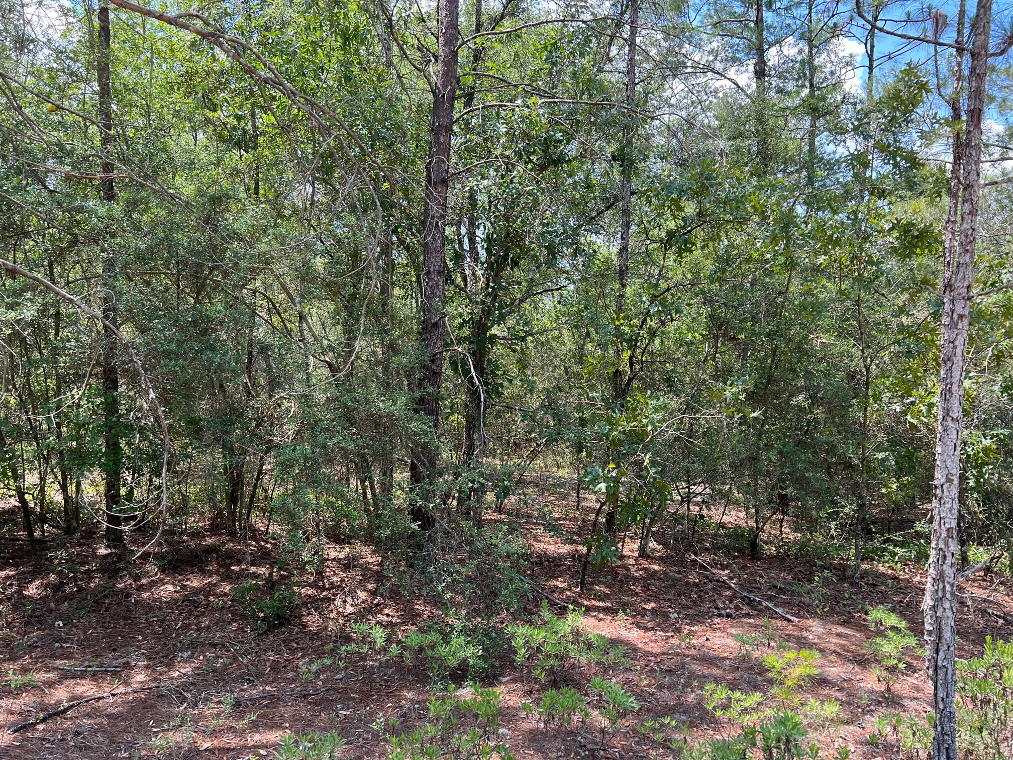 OAKWOOD HILLS UNIT 5 - Land