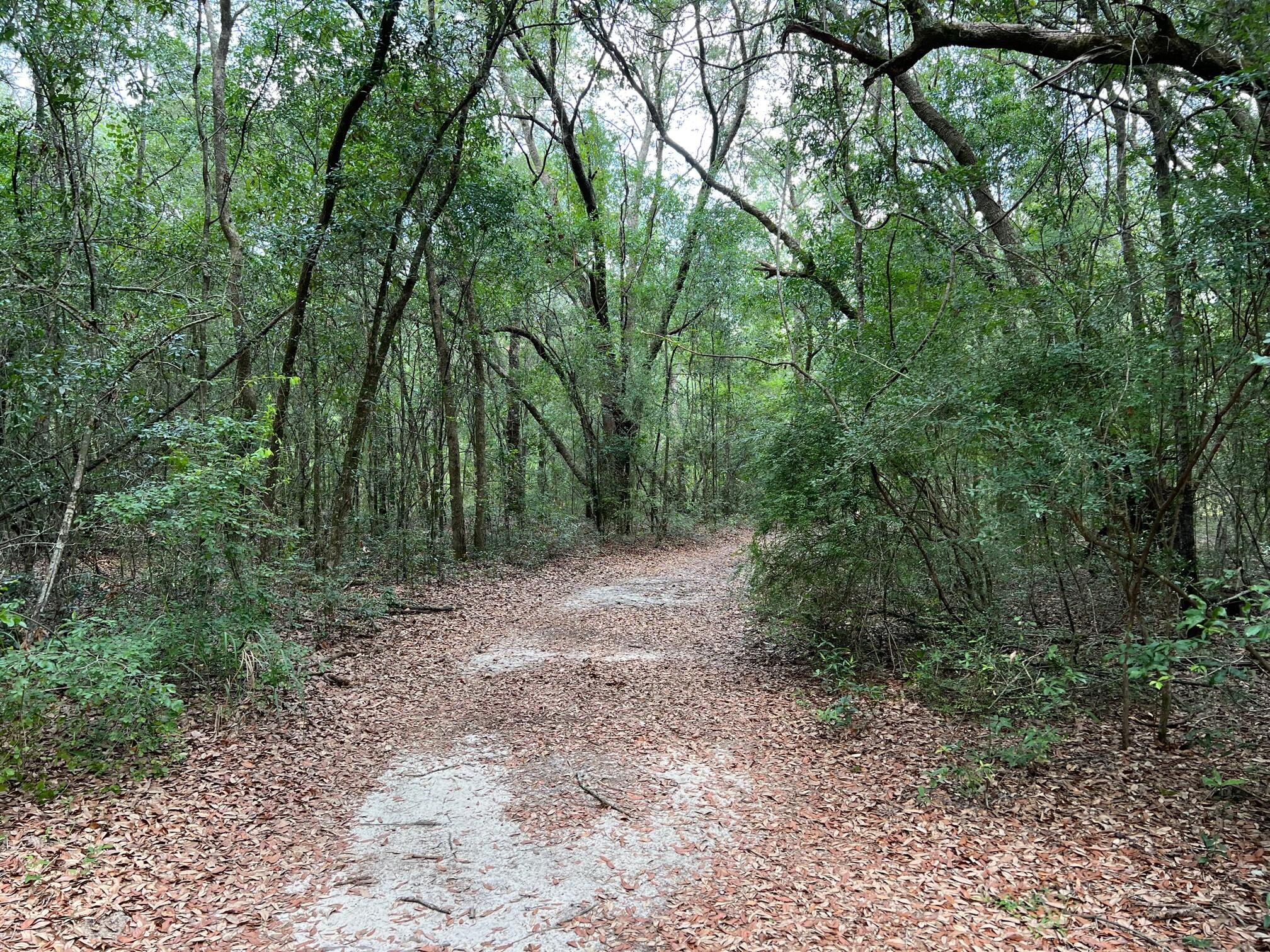 OAKWOOD HILLS UNIT 5 - Land