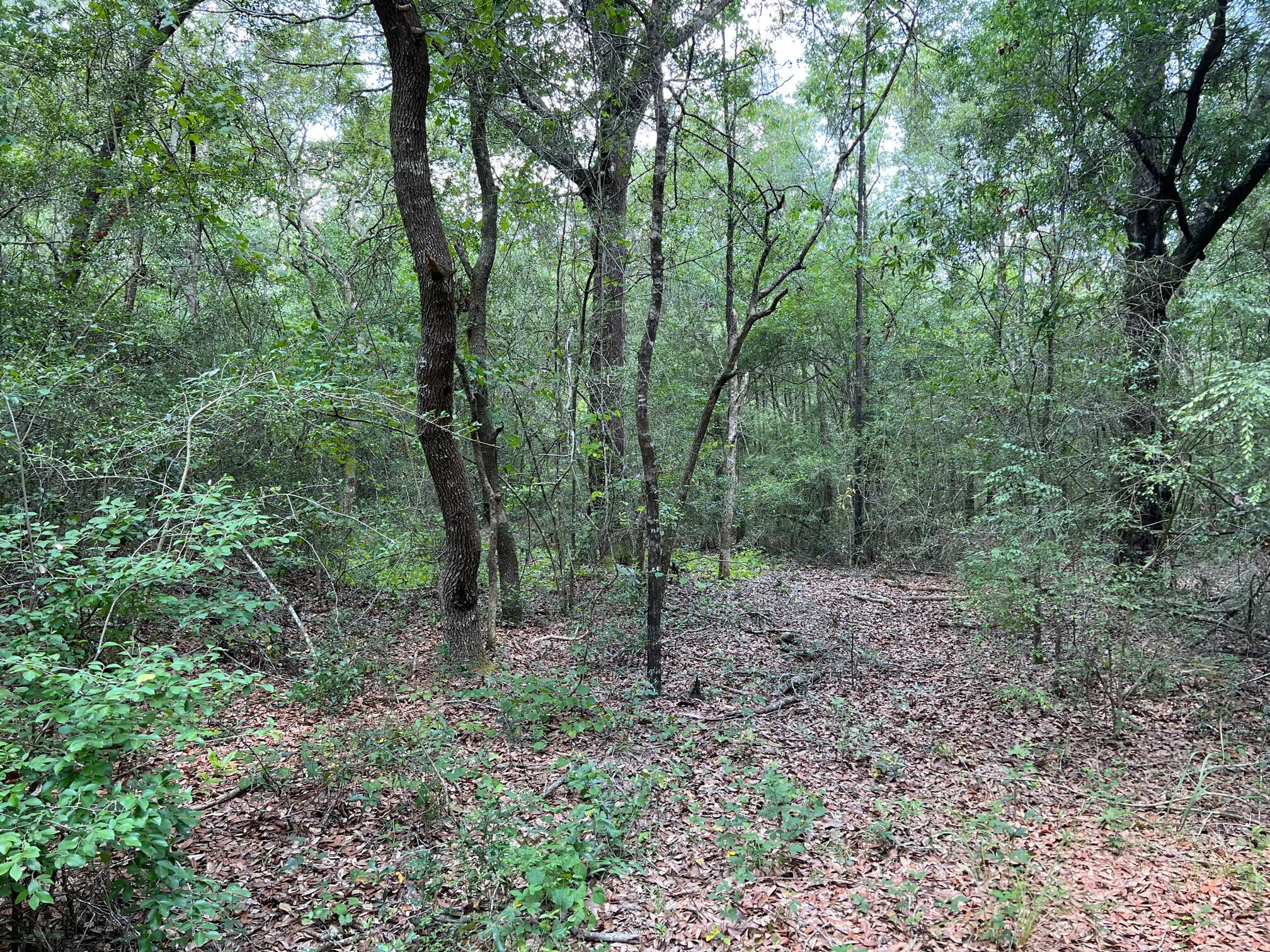 OAKWOOD HILLS UNIT 5 - Land